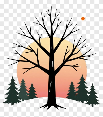 Silhouette Tree Against A Sunset Background PNG