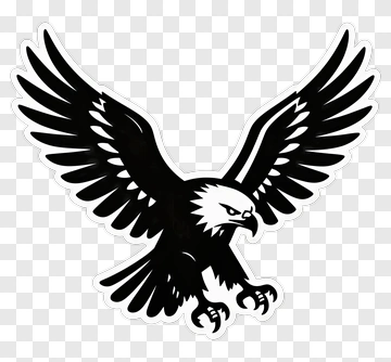 Black Eagle With Outstretched Wings PNG