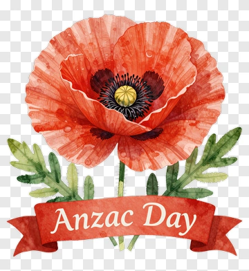 Watercolor Poppy Flower For Anzac Day PNG