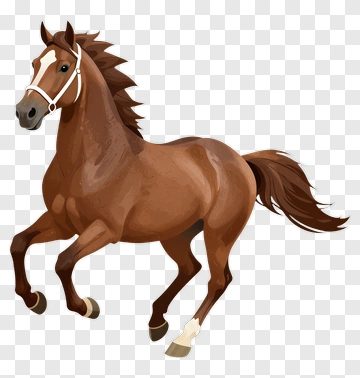 Brown Horse Running PNG