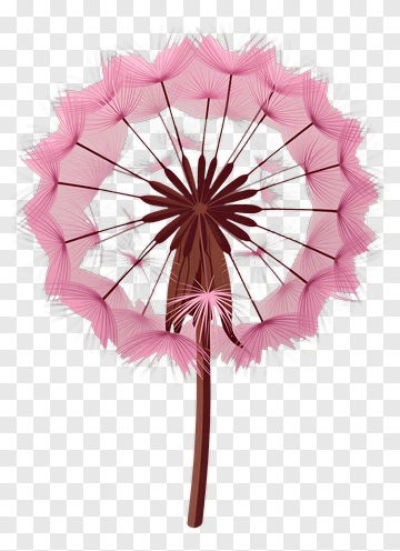 Pink Dandelion Flower PNG