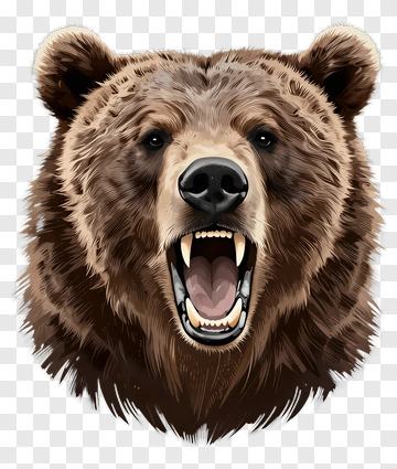 Realistic Bear Head With Open Mouth PNG
