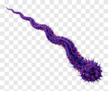 Colorful Purple Bacteria PNG