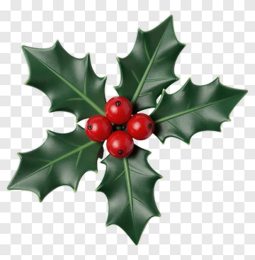 Holly Leaves With Red Berries PNG