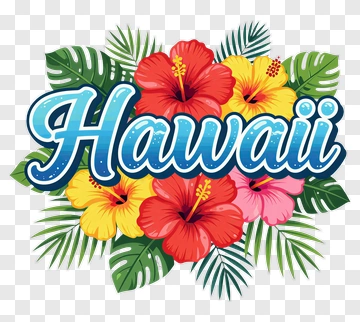 Hawaii Floral Design With Hibiscus Flowers PNG