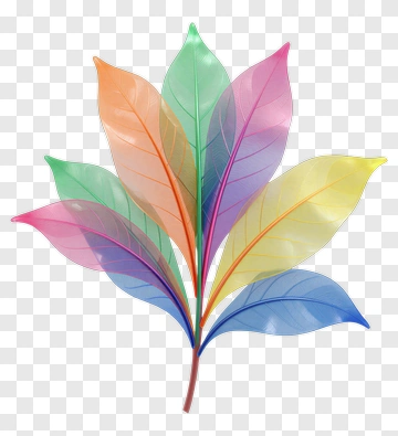 Colorful Leaf Arrangement PNG