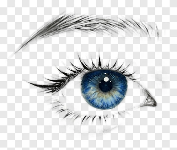 Realistic Blue Eye Illustration PNG