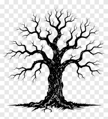 Black Tree With Bare Branches PNG