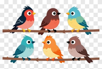 Colorful Cartoon Birds Sitting On A Branch PNG