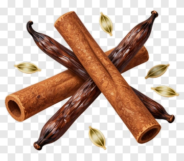 Cinnamon Sticks And Cardamom Pods PNG