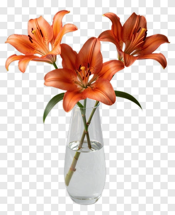 Orange Lily Flowers In A Vase PNG
