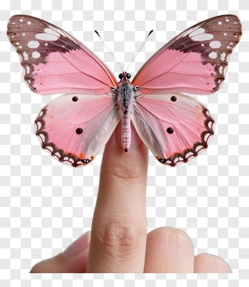 Butterfly Resting On A Finger PNG
