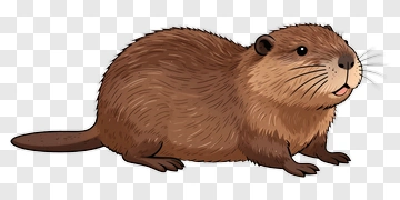 Cartoon Beaver PNG