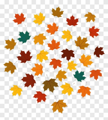Colorful Autumn Leaves PNG