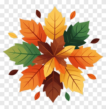 Colorful Autumn Leaves Arrangement PNG