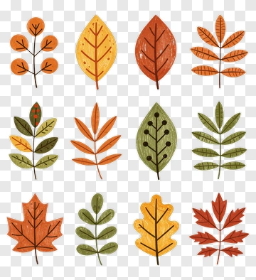 Colorful Autumn Leaves Collection PNG
