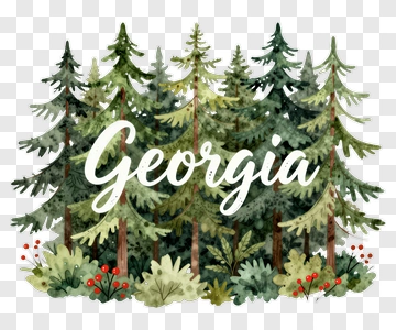 Forest Scene With Georgia Text PNG