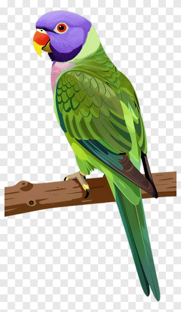 Colorful Parrot Perched On A Branch PNG