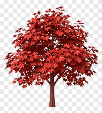 Colorful Tree With Red Leaves PNG