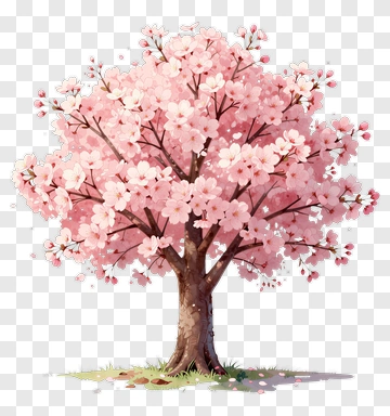 Colorful Cherry Blossom Tree PNG