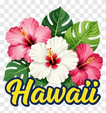 Hawaii Hibiscus Flowers PNG