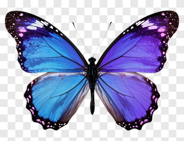 Blue And Purple Butterfly PNG