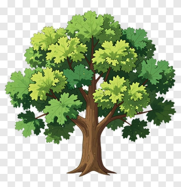 Cartoon Tree With Green Leaves PNG