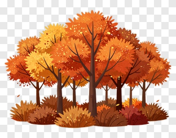 Colorful Autumn Forest PNG