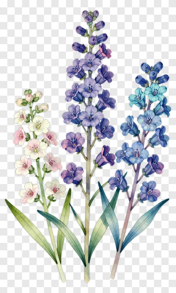 Colorful Floral Arrangement With Purple And Blue Flowers PNG