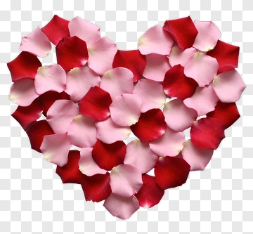 Heart Shaped Arrangement Of Rose Petals PNG