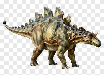3D Stegosaurus Dinosaur Model PNG