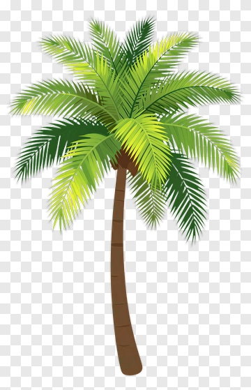 Colorful Palm Tree PNG
