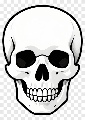 Cartoon Skull Illustration PNG