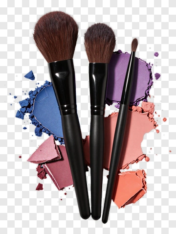 Makeup Brushes With Colorful Powder PNG