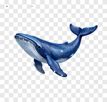 Galaxy Whale PNG