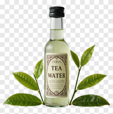 Tea Water Bottle With Green Tea Leaves PNG