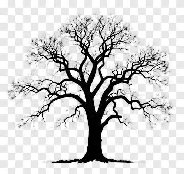 Silhouette Tree PNG
