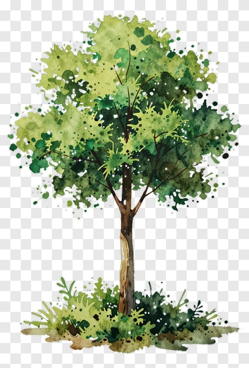 Watercolor Tree PNG