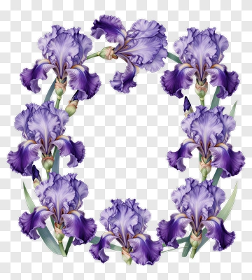 Purple Iris Flower Wreath PNG