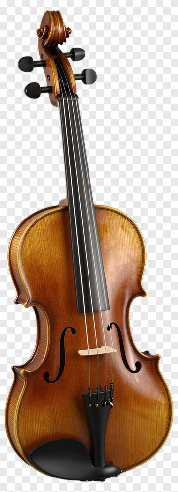 Violin With Elegant Wood Finish PNG