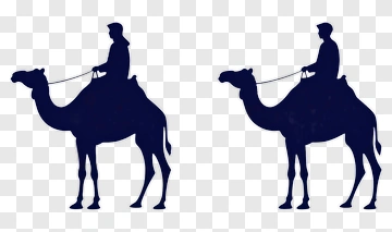 Silhouette Of Two Camel Riders PNG