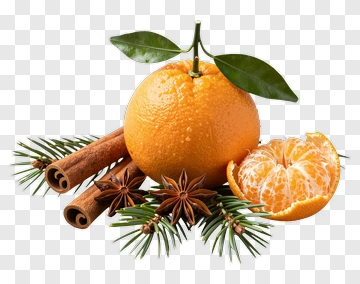 Orange With Cinnamon And Star Anise PNG