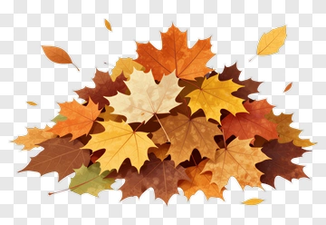 Colorful Autumn Leaves Pile PNG