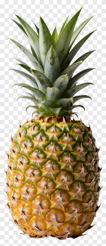 Pineapple With Green Leaves PNG