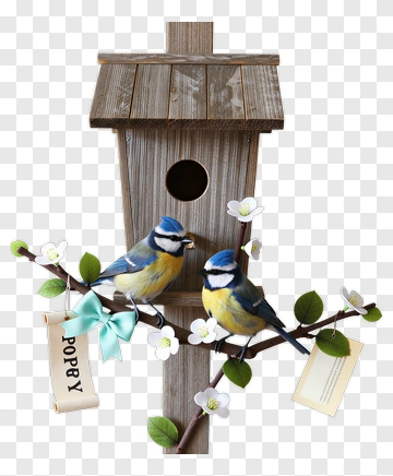 Birds Perched On A Birdhouse With Flowers PNG