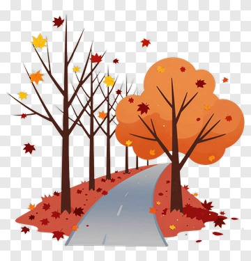 Autumn Trees Along A Road PNG