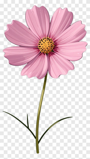 Pink Flower With Green Stem PNG
