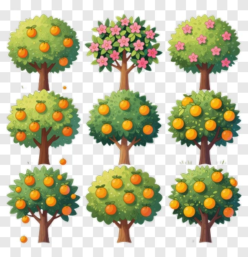 Colorful Fruit Trees With Oranges And Blossoms PNG