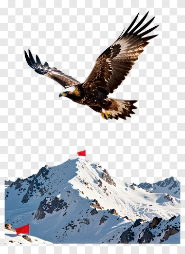 Eagle Flying Over Snowy Mountain Peaks PNG