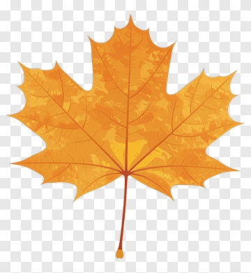 Orange Maple Leaf PNG